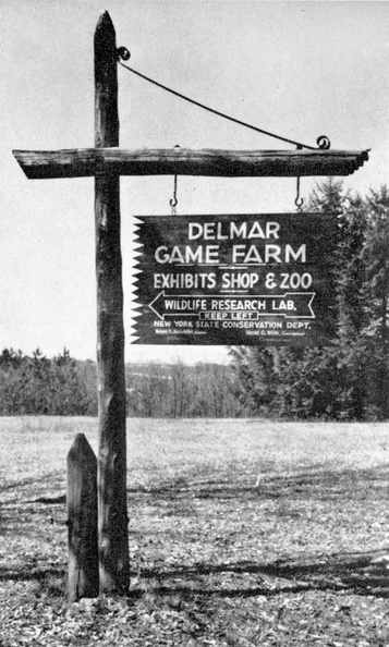 Delmar Game Farm 1.jpg