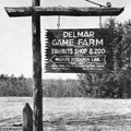 Delmar Game Farm 