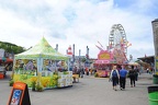 The Altamont Fair